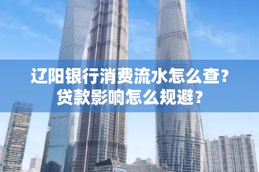 辽阳银行消费流水怎么查?贷款影响怎么规避?